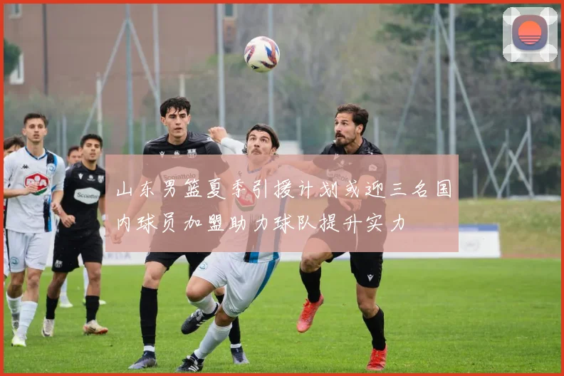 山东男篮夏季引援计划或迎三名国内球员加盟助力球队提升实力