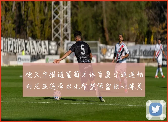 德天空报道葡萄牙体育夏季追逐帕利尼亚德泽尔比希望保留核心球员